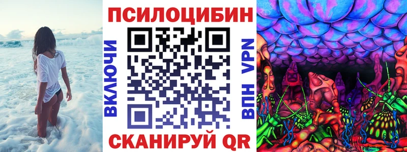 Псилоцибиновые грибы прущие грибы  где найти   Сурск 