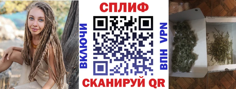 Каннабис гибрид  Сурск 